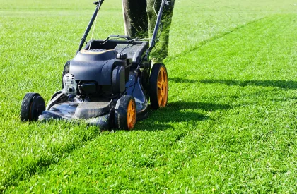 best-length-mow-lawn