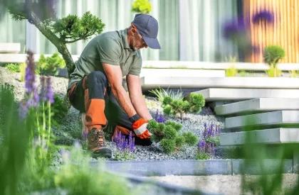 garden maintenance 1