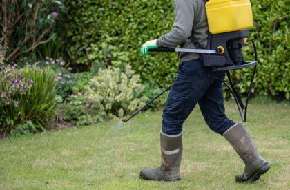 weed spraying 1