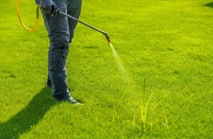 weed spraying 2