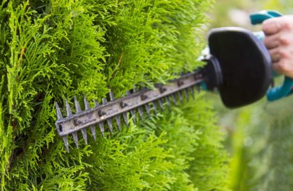 Gardener with a professional garden tools at work. planting of greenery.